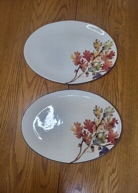 ✨️Set of 2 Serving Plates